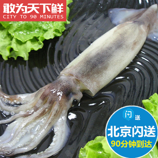 冰鲜冷冻枪鱿鱼海鲜
