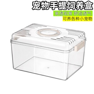 爬宠饲养箱甲虫饲养盒寄居螃蟹守宫乌龟角蛙蜗牛饲养箱仓鼠外带笼
