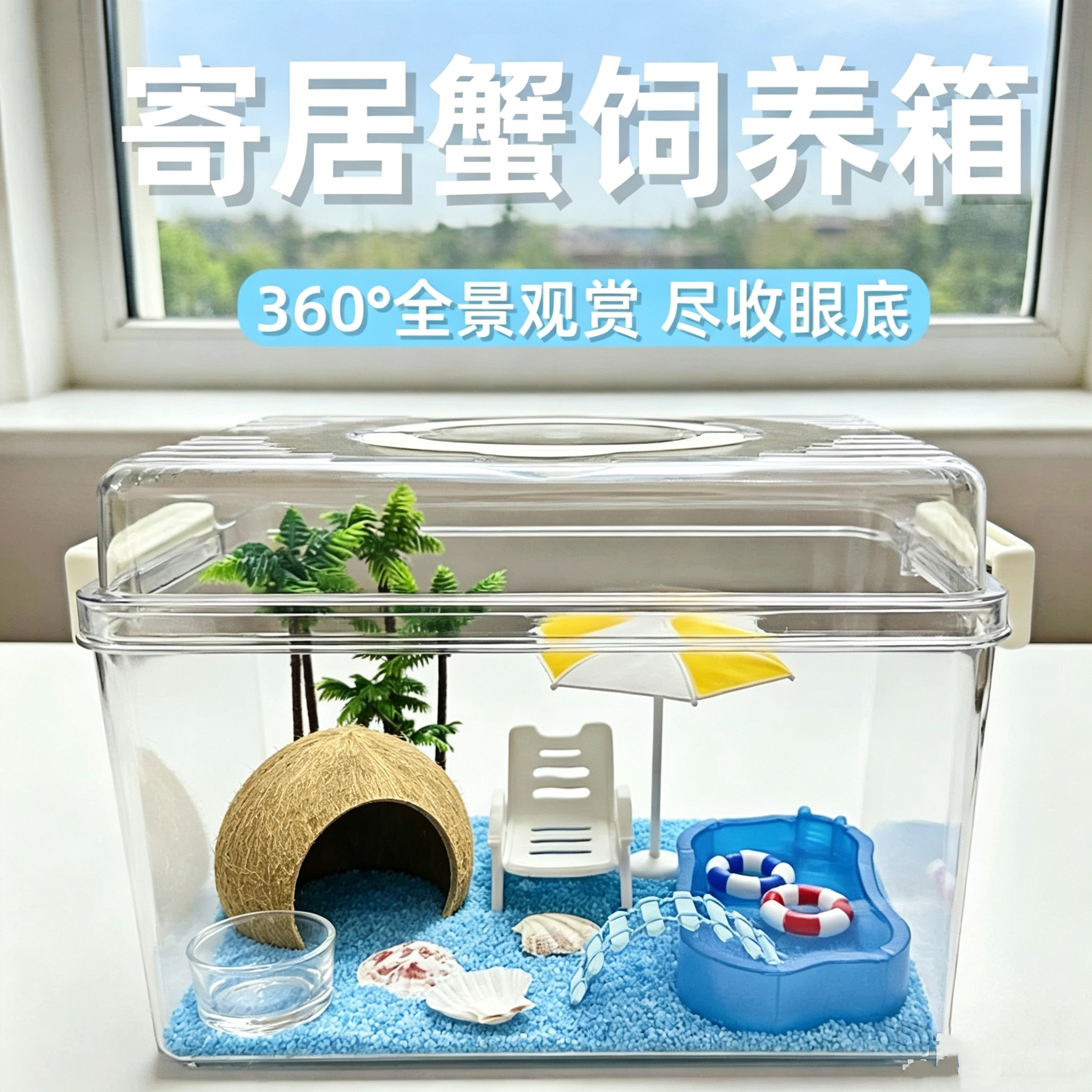 寄居蟹饲养箱相手蟹沙蟹饲养缸寄居蟹活体新手饲养套餐高透饲养箱
