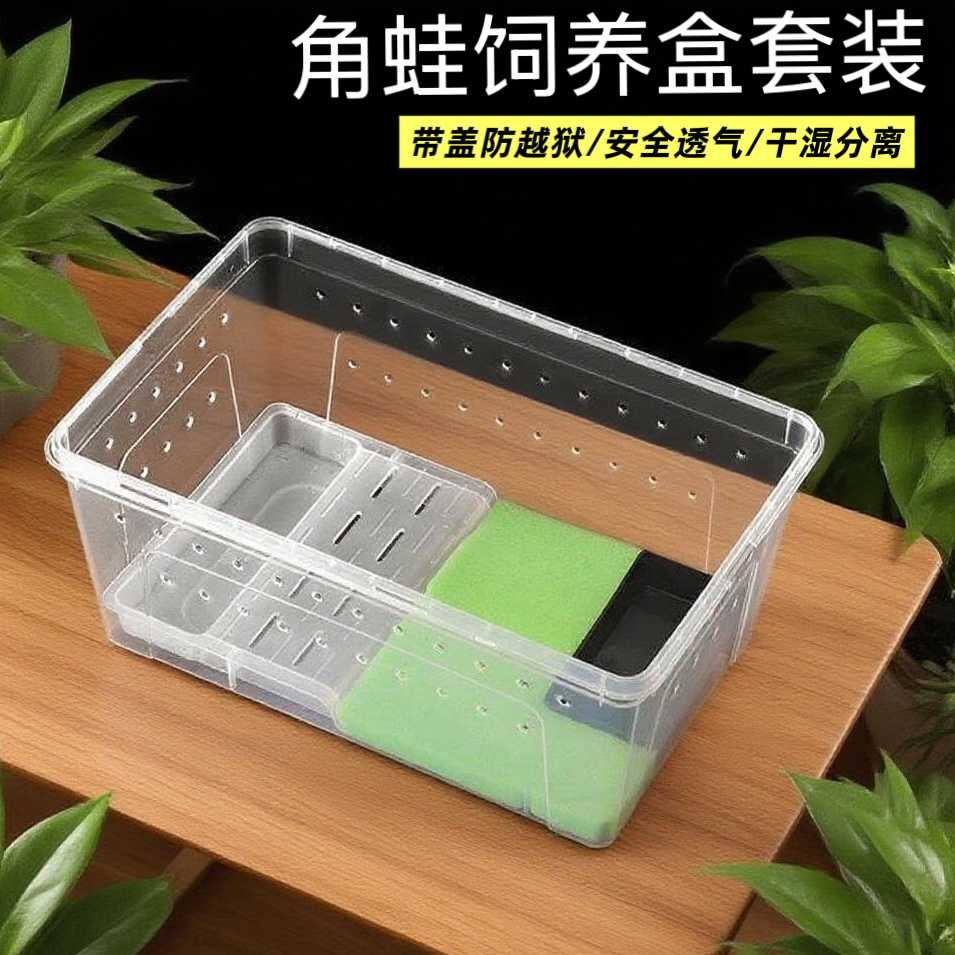 角蛙饲养盒角蛙专用生化棉海绵