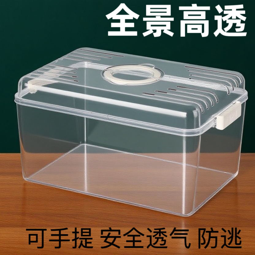 手提宠物饲养盒甲虫饲养盒寄居螃蟹仓鼠守宫饲养箱乌龟爬宠外带盒