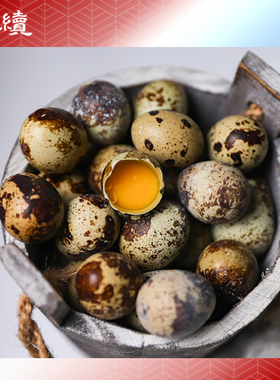 绿手指生态鹌鹑蛋500g农场自产新鲜生鹌鹑蛋40-55枚放心顺丰
