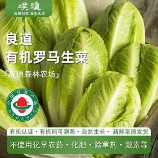 有机罗马生菜生菜新鲜蔬菜云南良道新鲜现摘现发蔬菜沙顺丰特快