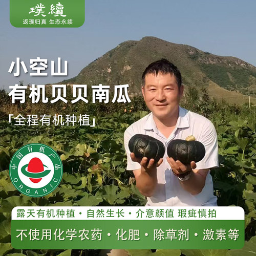 小空山有机贝贝南瓜原种欧贝3号板粟子味板栗小南瓜甜贵族粉糯甜