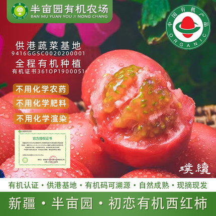 半亩园初恋有机西红柿新疆库尔勒普罗旺斯孕妇现摘自然熟生吃沙瓤