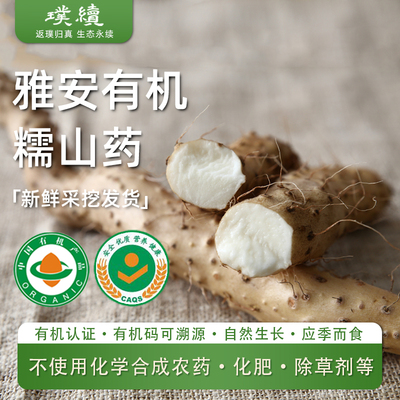 排单采挖有机糯山药四川雅安宝兴县不用农药化肥高山粉糯野生品种