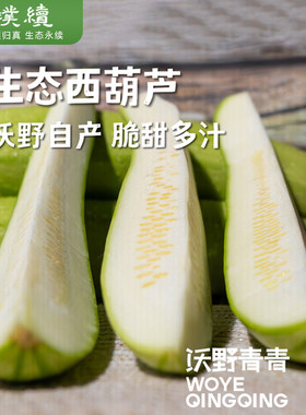 生态西葫芦新鲜沃野青青直发现摘番瓜菜瓜蔬菜茭瓜白瓜角瓜翠玉瓜