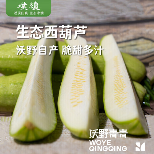 生态西葫芦新鲜沃野青青直发现摘番瓜菜瓜蔬菜茭瓜白瓜角瓜翠玉瓜