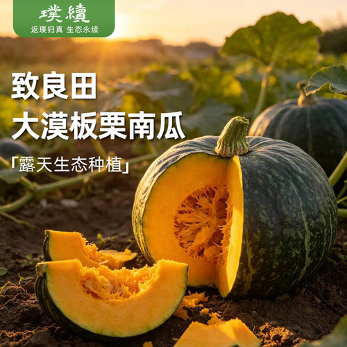 大漠板栗南瓜生态种植致良田原种板粟子味板栗小南瓜甜贵族粉糯甜