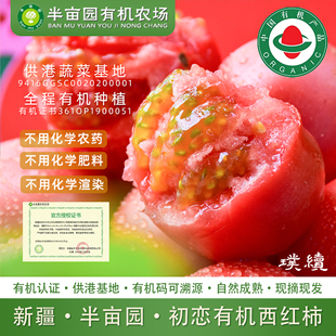 半亩园初恋有机西红柿新疆普罗旺斯番茄自然成熟现摘生吃沙瓤孕妇