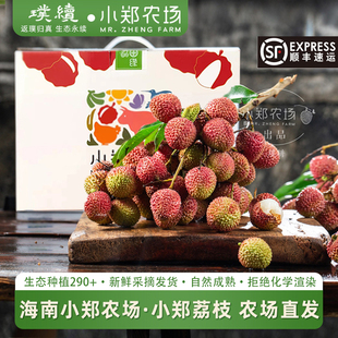 排单采摘小郑荔枝妃子笑海南小郑农场郑学智生态应季现摘新鲜水果