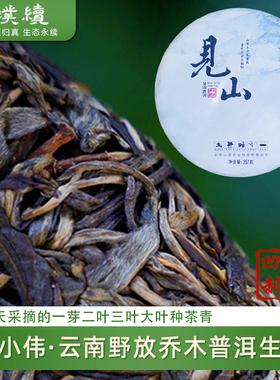 见山普洱生茶2025单小伟云南野放乔木生普蜜香甜山凹凹357克饼茶