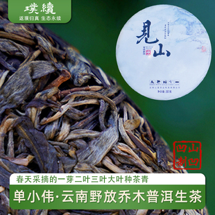 见山普洱生茶2025单小伟云南野放乔木生普蜜香甜山凹凹357克饼茶