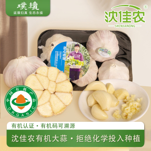 沈佳农有机大蒜新鲜大蒜头多瓣蒜中国有机认证干蒜有机蔬菜农场