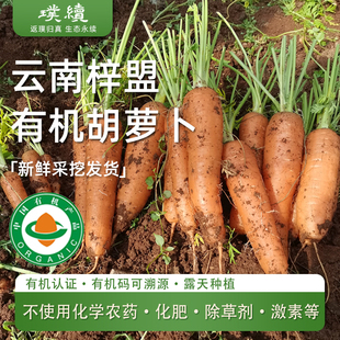 云南有机胡萝卜大中小随机混装果云南3斤5新鲜现挖带土水果生吃