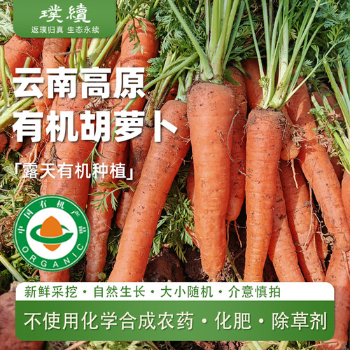 云南有机胡萝卜生吃大小果放心