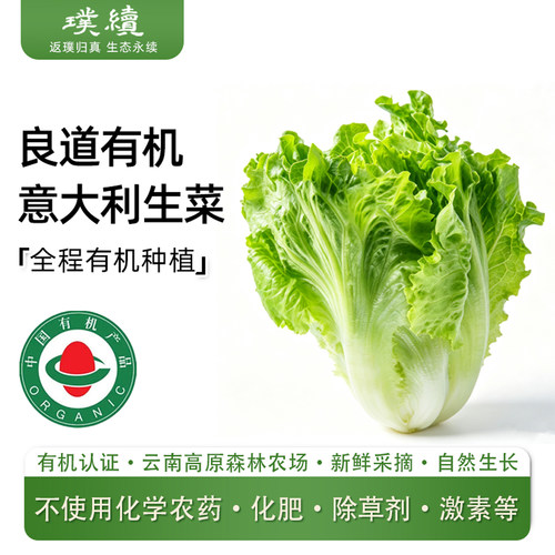 有机意大利生菜生菜云南高原农场