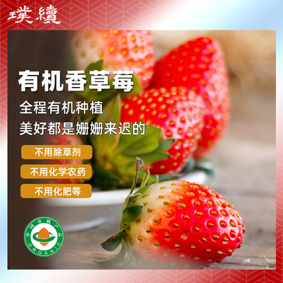 有机香草莓有机种植陕西沃野青青自然成熟酸甜孕妇小孩应季水果