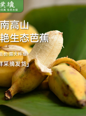 生态芭蕉云南新鲜5斤装包邮
