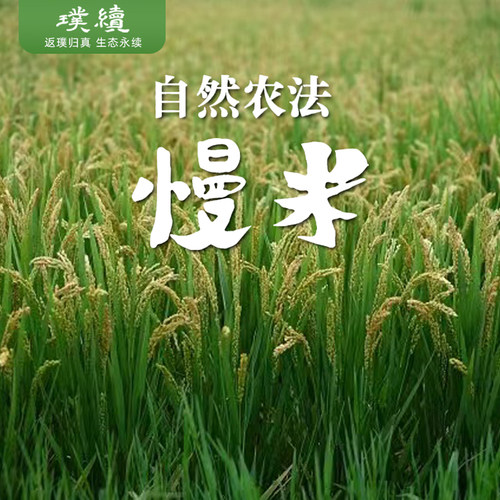 慢米自然农法2025新米粳米5斤大米糙米拒绝农药化肥袋装包邮清香