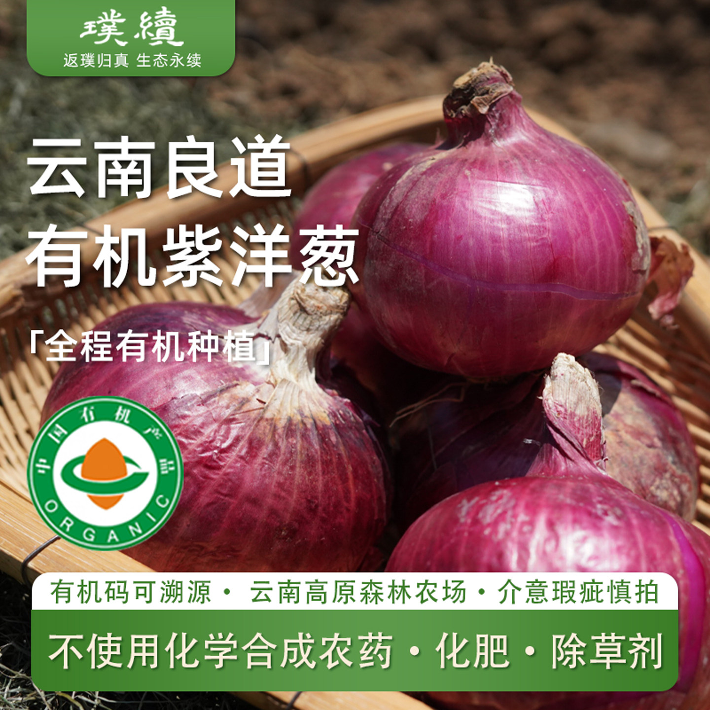 有机洋葱云南良道高原洋葱葱头新鲜应季清脆爽口紫皮红皮5斤装