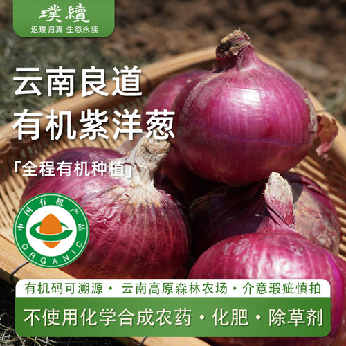 有机洋葱云南良道高原洋葱葱头