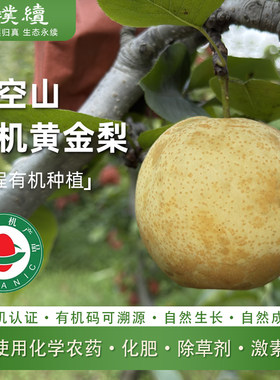 小空山有机黄金梨河南南阳无渣