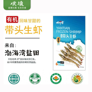 有机盐田生态虾山东渤海水产俏虾客新鲜大虾鲜活冰虾冷冻虾