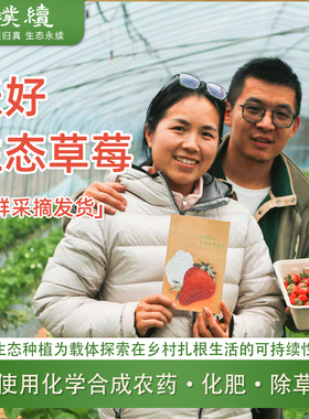 张好生态草莓生态种植花好月圆农场杭州自然成熟酸甜可口应季水果