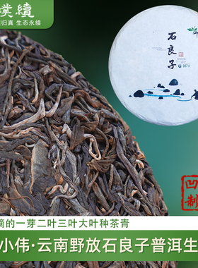石良子普洱生茶2025单小伟云南野放乔木生普山凹凹357克饼茶