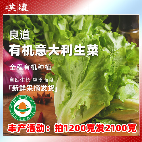 有机意大利生菜生菜云南高原农场