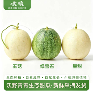 沃野青青生态甜瓜星甜绿宝石玉菇小甜瓜陕西新鲜应季水果蜜瓜顺丰