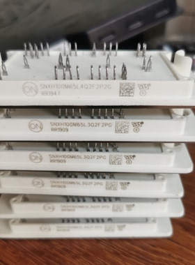 SNXH100M65L4Q2F2P2G  100M65L3Q2F2PG 散新 新能源功率模块 包好