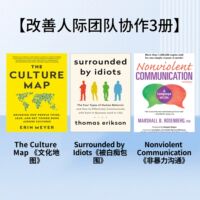 The Culture Map 文化地图汉化电子资料 跨文化沟通的制胜之道 thumbnail 3