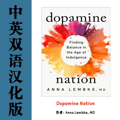 Dopamine Nation 成瘾在放纵中寻找平衡电子资料 心理神经科学