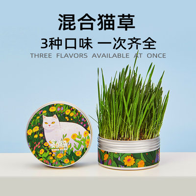 贪吃马混合猫草猫零食排毛化毛无土罐装猫草