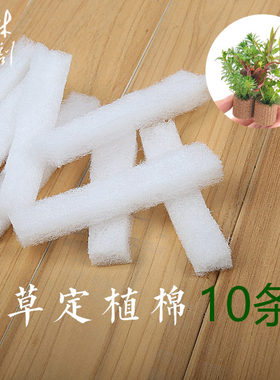 小林定植自用款 水草种植棉 定植棉 10条/包配合定植环定植石