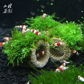 网红 饰幼鱼虾躲避窝 莫斯水草定植环水草鱼虾缸水族箱造景装