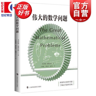 伟大的数学问题 数学桥丛书第五辑 国际知名数学家伊恩斯图尔特著上海科技教育出版社对数学家已经征服一些困难问题进行了精彩描绘