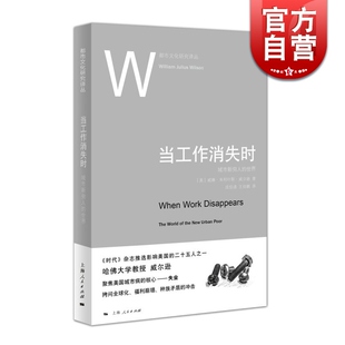 当工作消失时 城市新穷人的世界 都市文化研究译丛 [美]威廉·朱利叶斯·威尔逊 上海人民 世纪出版 图书籍