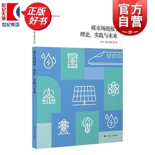 碳市场链接理论实践与未来 产业发展与环境治理研究论丛 陈玲杨越谢蒙莹著环境科学上海人民出版社详解国内国际碳市场发展前沿情况