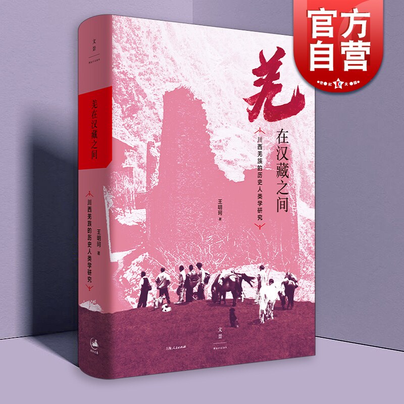 2021新版 羌在汉藏之间:川西羌族的历史人类学研究 历史人类学家王明珂力作上海人民出版社 另著华夏边缘/游牧者的抉择高性价比高么？