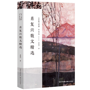 肖复兴散文精选 正版散文集 名家散文典藏收录那片绿绿的爬山虎手绘插图现当代文学散文精选集名家作品长江文艺出版社