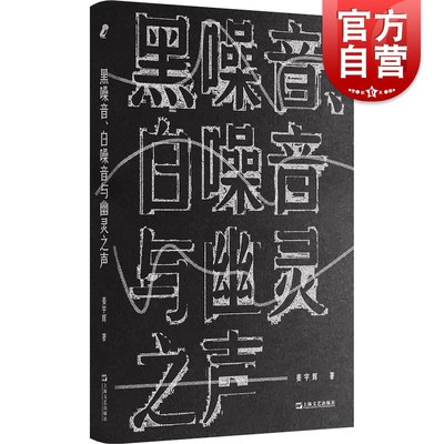 黑噪音白噪音与幽灵之声 姜宇辉著作上海文艺出版社