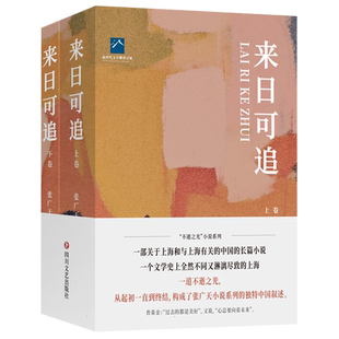 来日可追 张广天 著 四川文艺出版社 中国现当代文学 其它小说