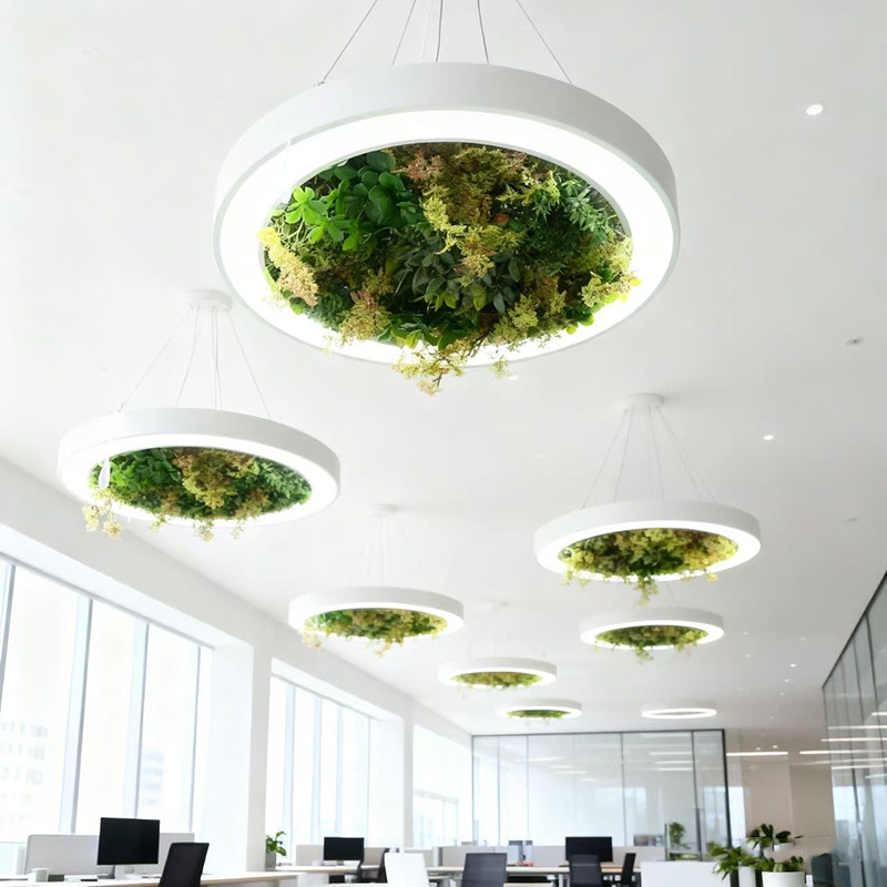 绿植苔藓圆形吊灯简约灯