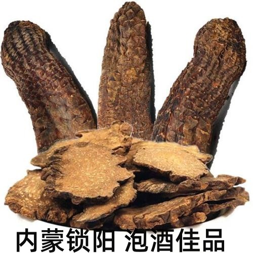 中药材锁阳500g包邮锁阳片打粉可搭肉苁蓉淫羊藿金锁阳