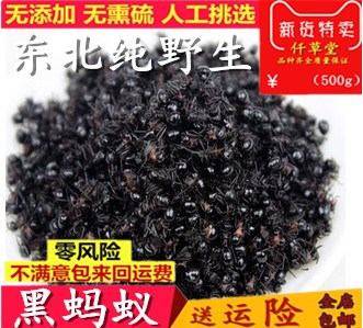 黑蚂蚁干500g 东北正品野生拟黑多刺蚁关节痛黑蚂蚁中药材泡酒料