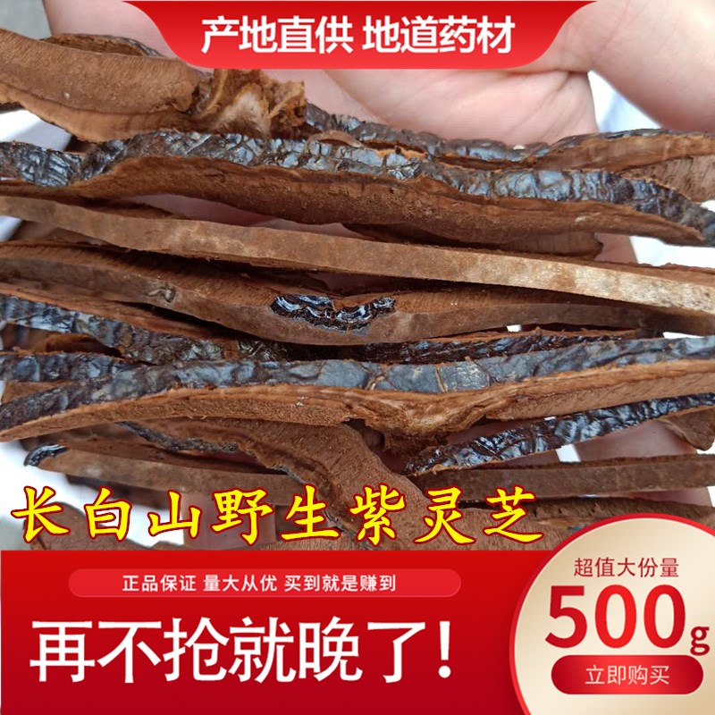 野生灵芝切片长白山500g新货无硫赤紫灵芝片正品泡茶煲汤入药包邮