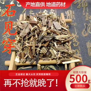 中药材石见穿 紫参石打穿月下红石见川石大川中草药 新货500g包邮